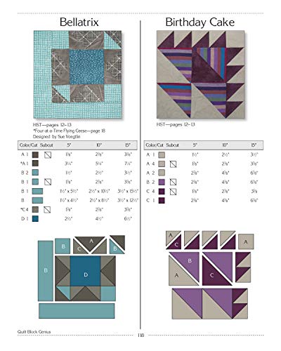 Quilt Block Genius, Expanded Second Edition: Over 300 Pieced Quilt Blocks to Make 1001 Blocks with No Math Charts (Landauer) Mini Quilts, Settings, Sampler Patterns, & Tips to Create Your Own Block