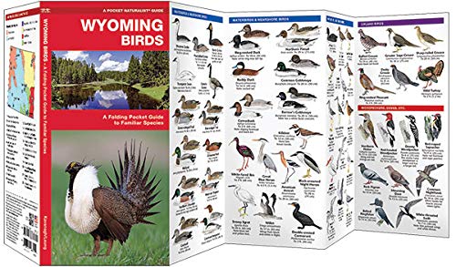 Wyoming Birds: A Folding Pocket Guide to Familiar Species (Wildlife and Nature Identification)