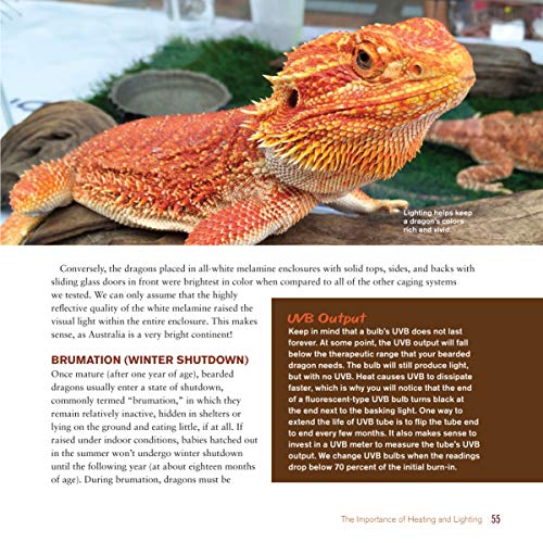 The Bearded Dragon Manual, 2nd Edition: Expert Advice for Keeping and Caring for a Healthy Bearded Dragon (CompanionHouse Books) Habitat, Heat, Diet, Behavior, Personality, Illness, FAQs, & More