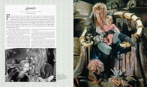 Labyrinth: The Ultimate Visual History