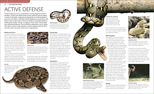 Snake: The Essential Visual Guide