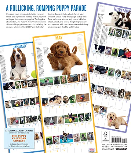 365 Puppies-A-Year Picture-A-Day Wall Calendar 2022: The Most Adorable, Irresistible Puppies.