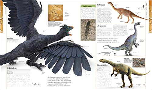 Dinosaurs and Prehistoric Life: The definitive visual guide to prehistoric animals