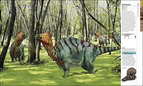 Dinosaurs and Prehistoric Life: The definitive visual guide to prehistoric animals