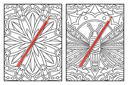 100 Magical Patterns: An Adult Coloring Book with Fun, Easy, and Relaxing Coloring Pages