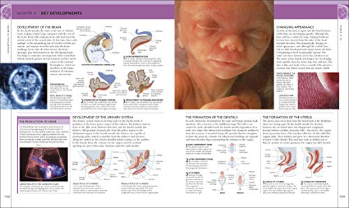 The Science of Pregnancy: The complete illustrated guide from conception to birth