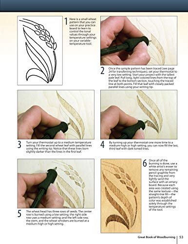 Great Book of Woodburning: Pyrography Techniques, Patterns and Projects for all Skill Levels (Fox Chapel Publishing) 30 Original, Traceable Designs and Step-by-Step Instructions from Lora S. Irish