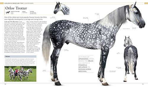 Horse Encyclopedia