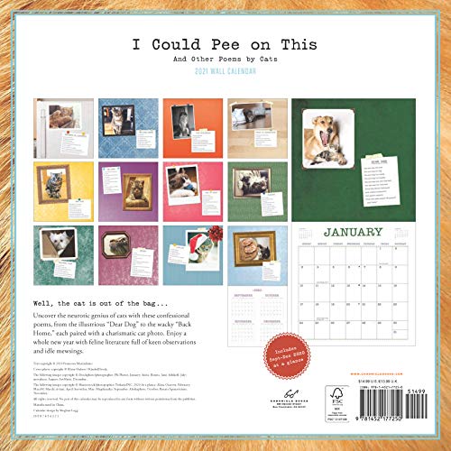 I Could Pee on This 2021 Wall Calendar: (Funny Cat Calendar, Monthly Calendar with Hilarious Kitty Pictures and Poems)