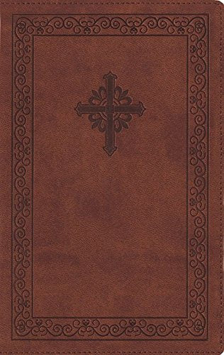 NIV, Teen Study Bible, Compact, Leathersoft, Brown