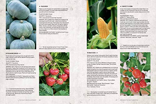 RHS Half Hour Allotment: Timely Tips for the Most Productive Plot Ever