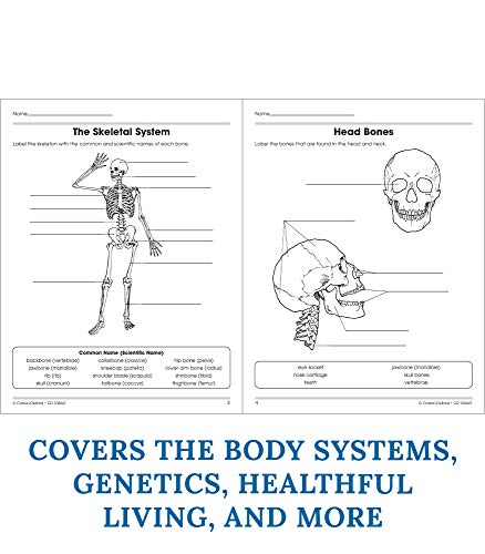 Carson Dellosa The 100+ Series: Human Body Workbook―Grades 5-8 Science Book, Human Anatomy, Bones, Muscles, Organs, the Nervous System, Health and Nutrition (128 pgs) (Volume 13)