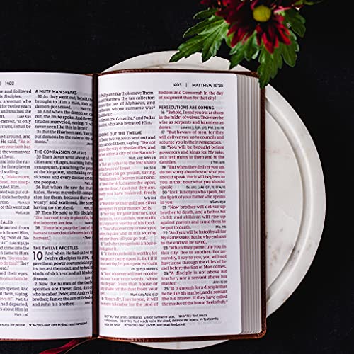 NKJV, End-of-Verse Reference Bible, Personal Size Large Print, Leathersoft, Brown, Red Letter, Comfort Print: Holy Bible, New King James Version