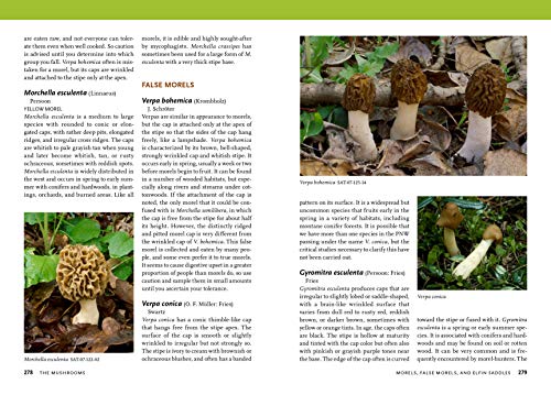 Mushrooms of the Pacific Northwest (A Timber Press Field Guide)