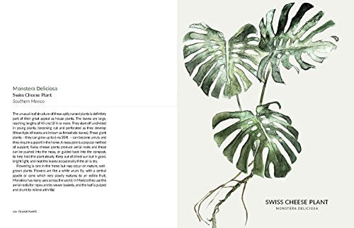 Urban Botanics: An Indoor Plant Guide for Modern Gardeners