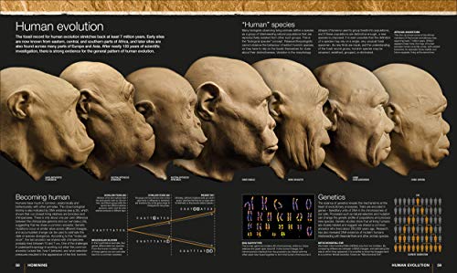 Evolution: The Human Story, 2nd Edition