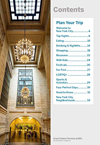 Lonely Planet Pocket New York City 7 (Travel Guide)