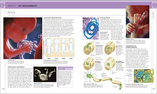 The Science of Pregnancy: The complete illustrated guide from conception to birth