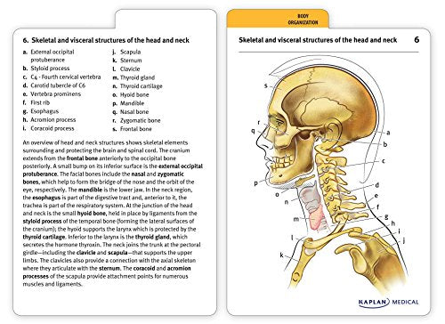 Anatomy Flashcards