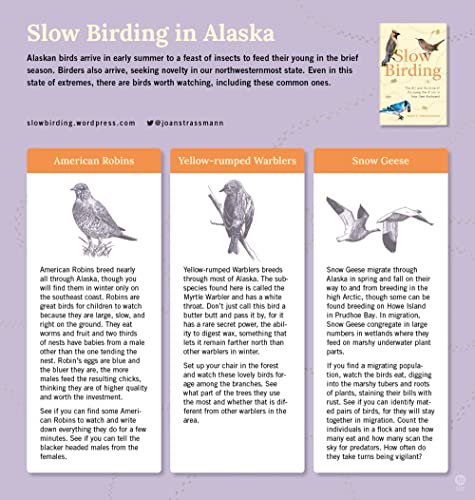 Slow Birding: The Art and Science of Enjoying the Birds in Your Own Backyard