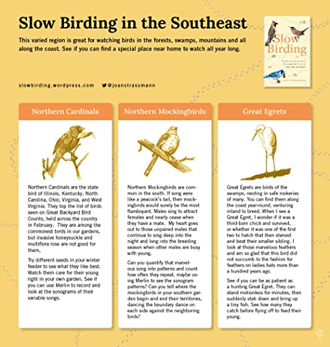 Slow Birding: The Art and Science of Enjoying the Birds in Your Own Backyard