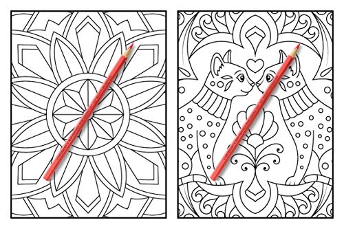 100 Magical Patterns: An Adult Coloring Book with Fun, Easy, and Relaxing Coloring Pages