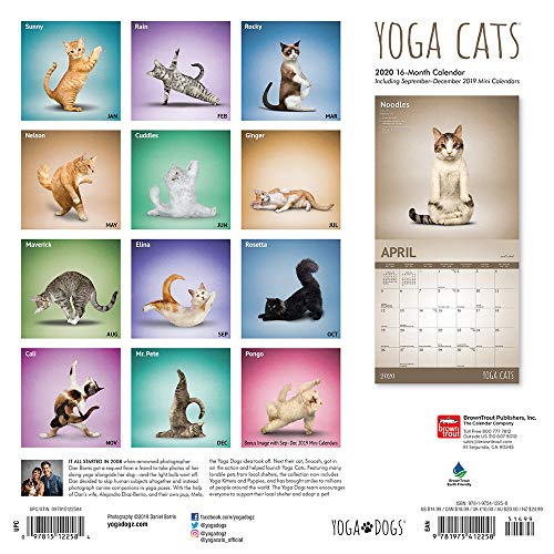 Yoga Cats 2020 12 x 12 Inch Monthly Square Wall Calendar, Animals Humor Cat (English, Spanish and French Edition)