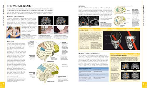 The Human Brain Book: An Illustrated Guide to its Structure, Function, and Disorders (DK Human Body Guides)