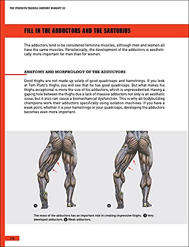 The Strength Training Anatomy Workout III: Maximizing Results with Advanced Training Techniques