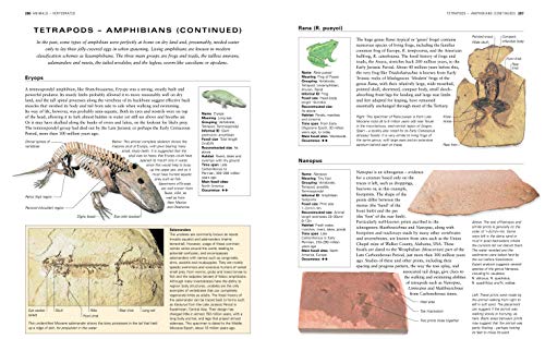 The Illustrated Guide to Fossils & Fossil Collecting: A Reference Guide to Over 375 Plant and Animal Fossils from Around the Globe and How to Identify Them, with Over 950 Photographs and Artworks