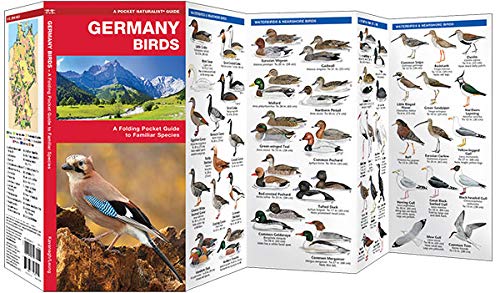 Germany Birds: A Folding Pocket Guide to Familiar Species (Wildlife and Nature Identification)