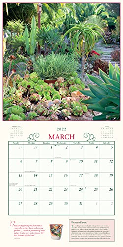 Secret Garden Wall Calendar 2022: A year of photographs that transport you to a garden sanctuary.