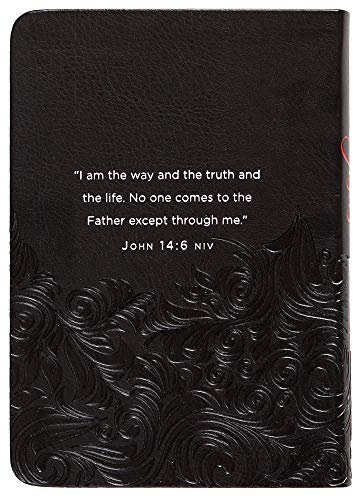 Jesus in Red: 365 Meditations on the Words of Jesus (Imitation Leather) – Daily Motivational Devotions for All Ages, Authored by Ray Comfort, Perfect ... Family, Birthdays, Holidays, and More.