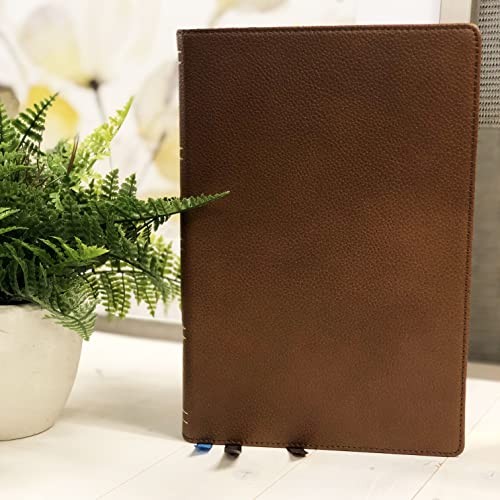 NKJV, Wiersbe Study Bible, Genuine Leather, Brown, Red Letter, Comfort Print: Be Transformed by the Power of God’s Word