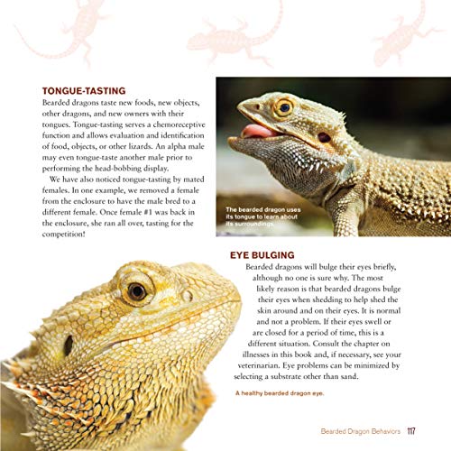 The Bearded Dragon Manual, 2nd Edition: Expert Advice for Keeping and Caring for a Healthy Bearded Dragon (CompanionHouse Books) Habitat, Heat, Diet, Behavior, Personality, Illness, FAQs, & More