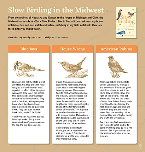 Slow Birding: The Art and Science of Enjoying the Birds in Your Own Backyard