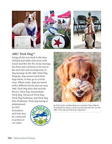 Canine Good Citizen: The Official AKC Guide, 2nd Edition: Ten Essential Skills Every Well-Mannered Dog Should Know (CompanionHouse) How to Train, Practice, and Pass the American Kennel Club's CGC Test