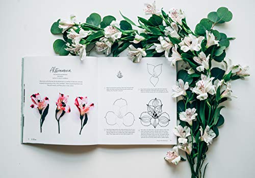 In Bloom: A Step-by-Step Guide to Drawing Lush Florals