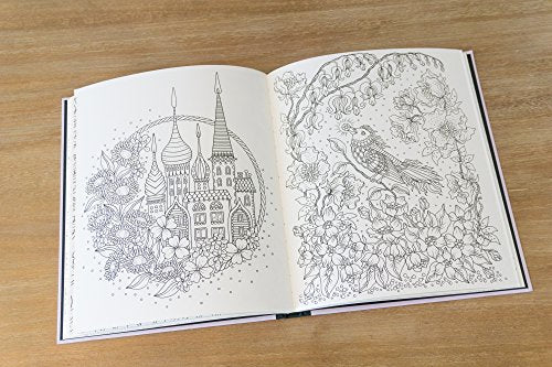 Magical Dawn Coloring Book: Published in Sweden as "Magisk Gryning" (Gsp- Trade)