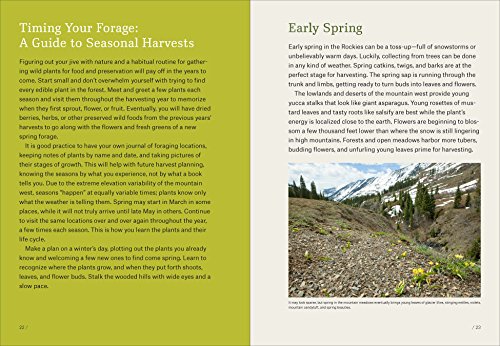 Mountain States Foraging: 115 Wild and Flavorful Edibles from Alpine Sorrel to Wild Hops (Regional Foraging Series)