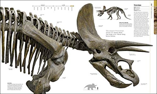 Dinosaurs and Prehistoric Life: The definitive visual guide to prehistoric animals