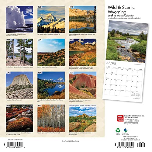 Wyoming Wild & Scenic | 2024 12 x 24 Inch Monthly Square Wall Calendar | BrownTrout | USA United States of America Midwest State Nature