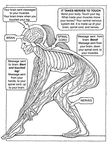 My First Book About the Five Senses (Dover Science For Kids Coloring Books)