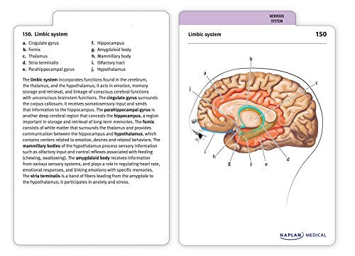 Anatomy Flashcards