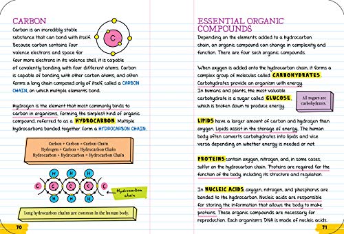 Workman Publishing Company - To Ace Biology in One Big Fat Notebook