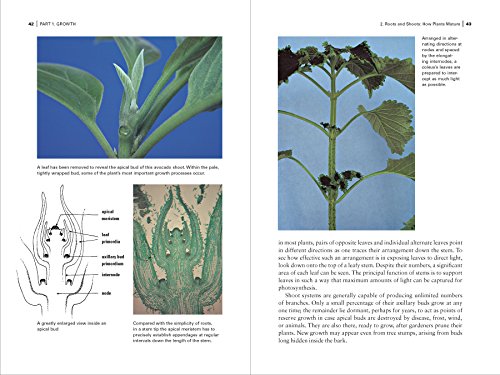 Botany for Gardeners, 3rd Edition