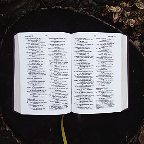 NIV, Larger Print Compact Bible, Leathersoft, Brown, Red Letter, Comfort Print