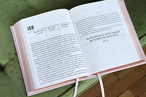 The Jesus Bible, NIV Edition, Leathersoft over Board, Pink, Comfort Print