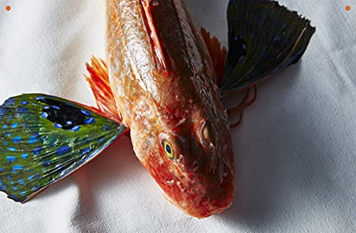 Take One Fish: The New School of Scale-to-Tail Cooking and Eating