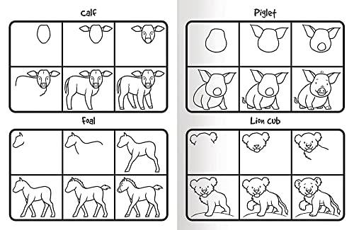 How to Draw 101 Baby Animals